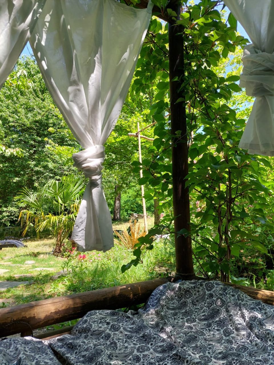 Natural landscape, Garden, Garden view