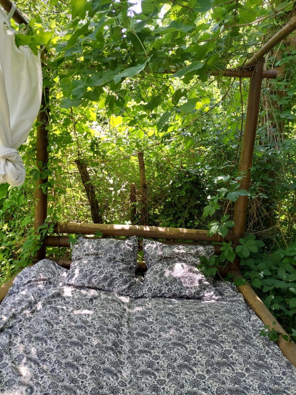 Bed, Natural landscape, Garden, Bedroom