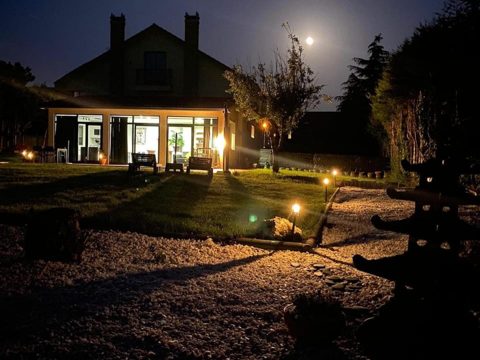Night, Garden, Garden view