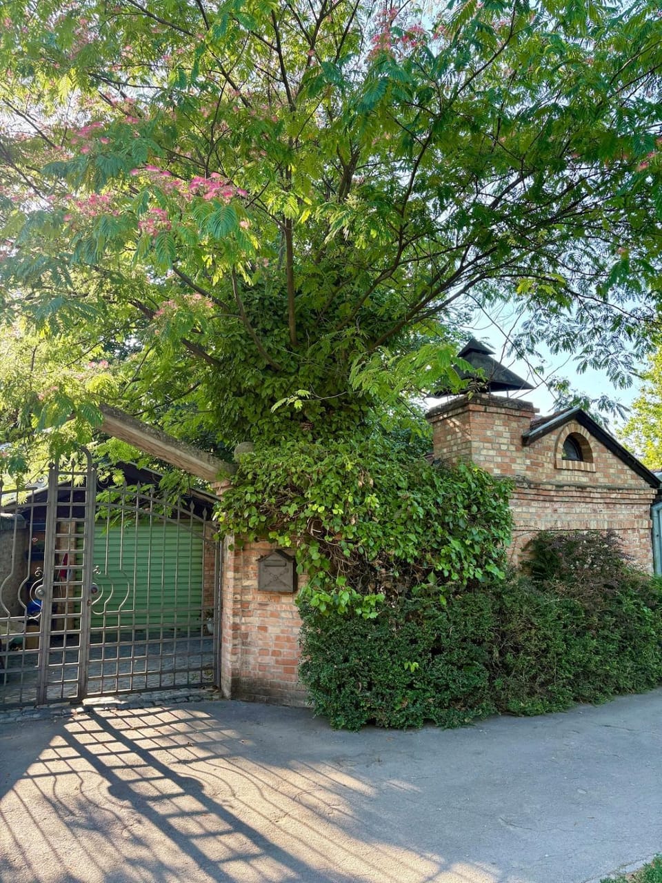 Property building, Spring, Day, Garden, Garden view