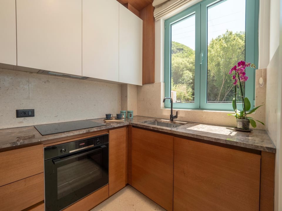 Kitchen or kitchenette, dishwasher, stove