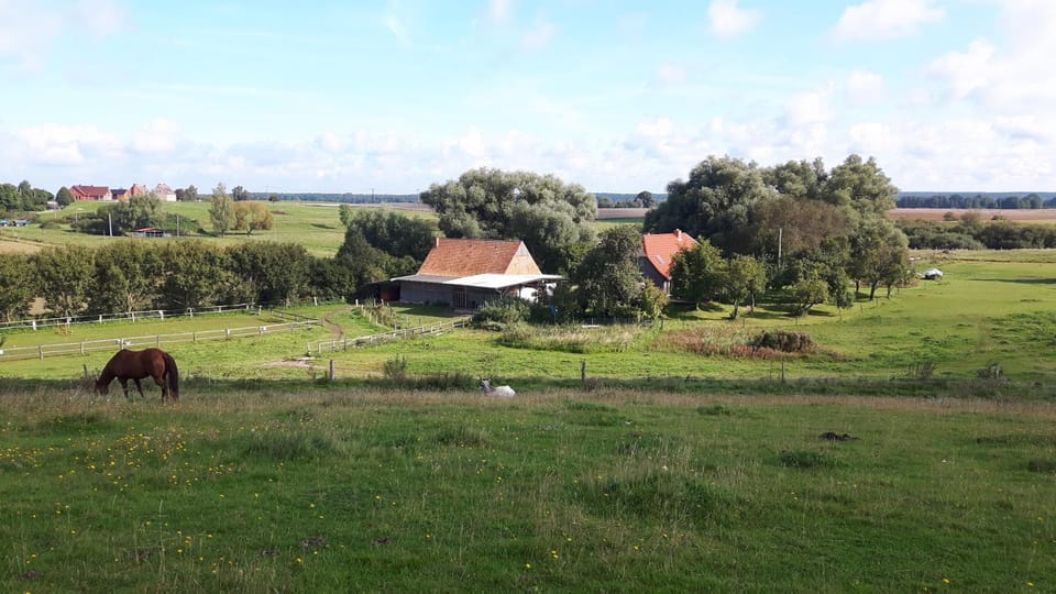 Natural landscape