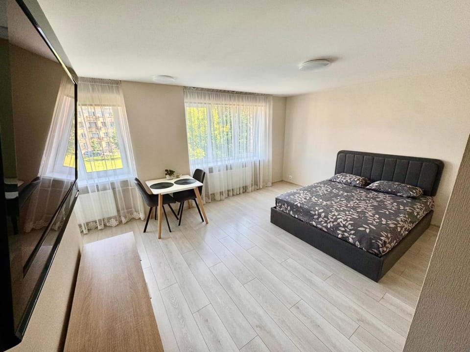 Daugavpils Central apartment ARELIJA Apartment in Lithuania