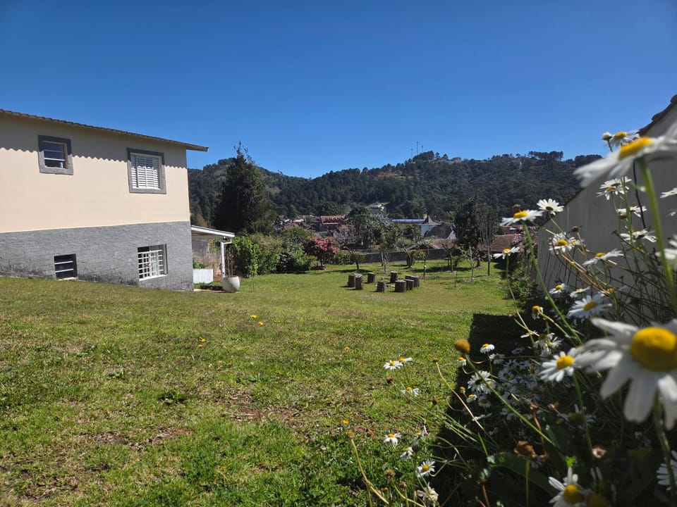 Garden, Garden view, Mountain view
