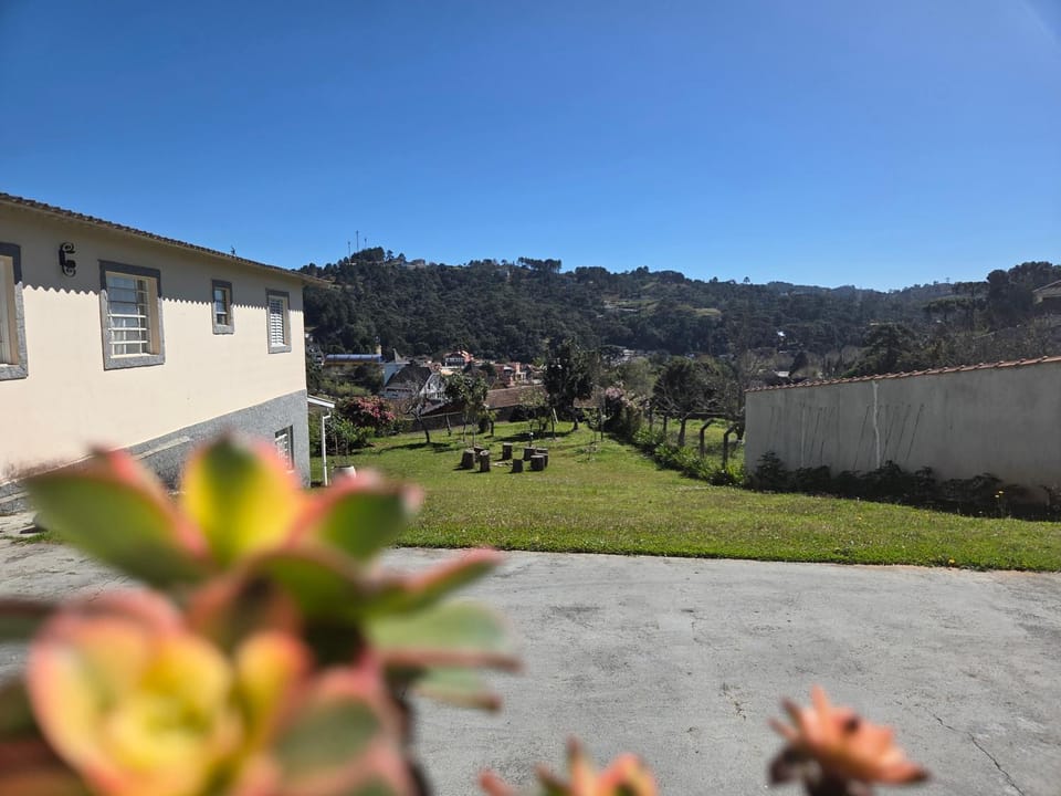 Natural landscape, Garden, Garden view, Mountain view