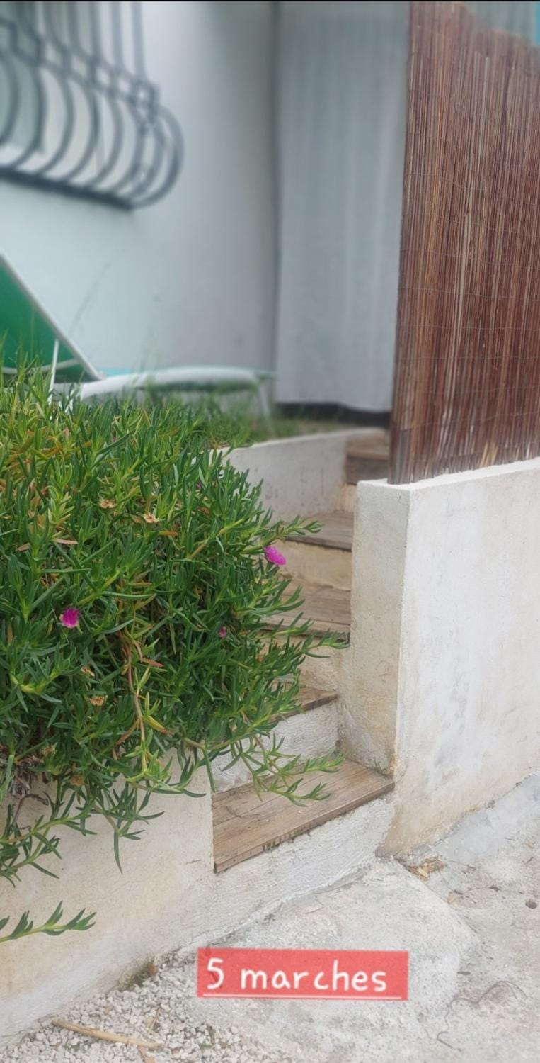 L extra Miette Vacation rental in Mandelieu-La Napoule