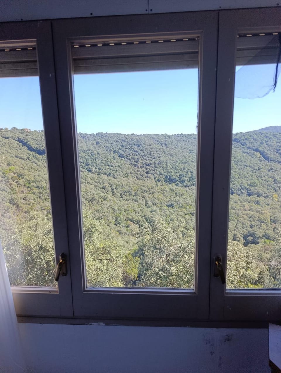 Mountain view