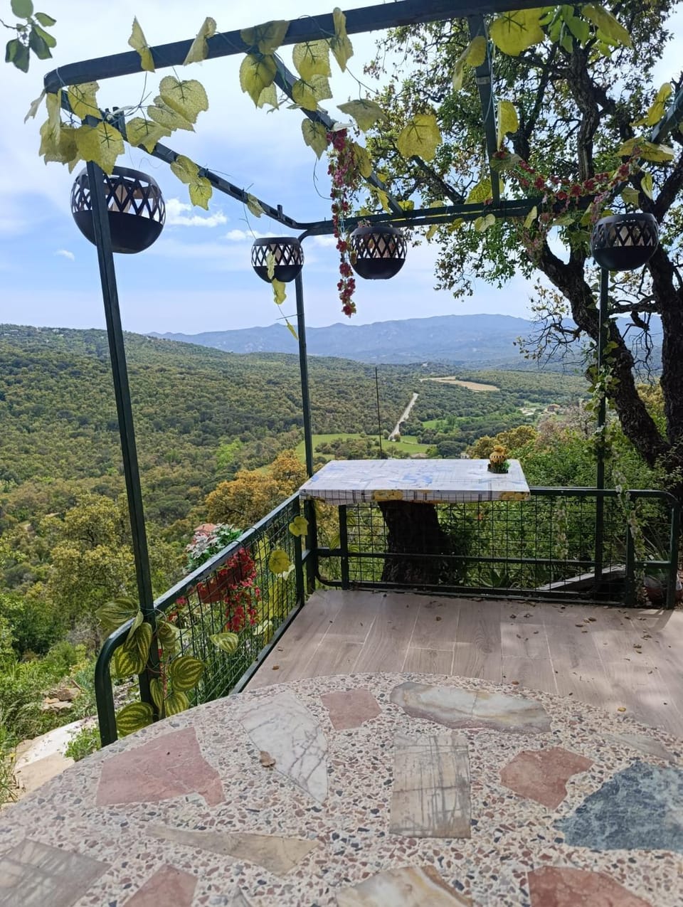 Mountain view