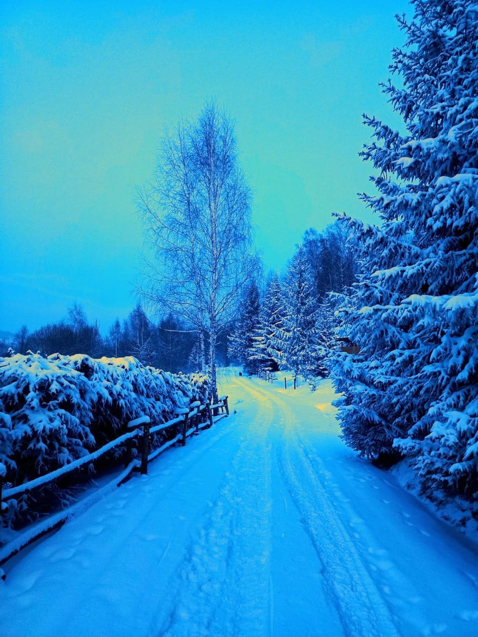 Winter