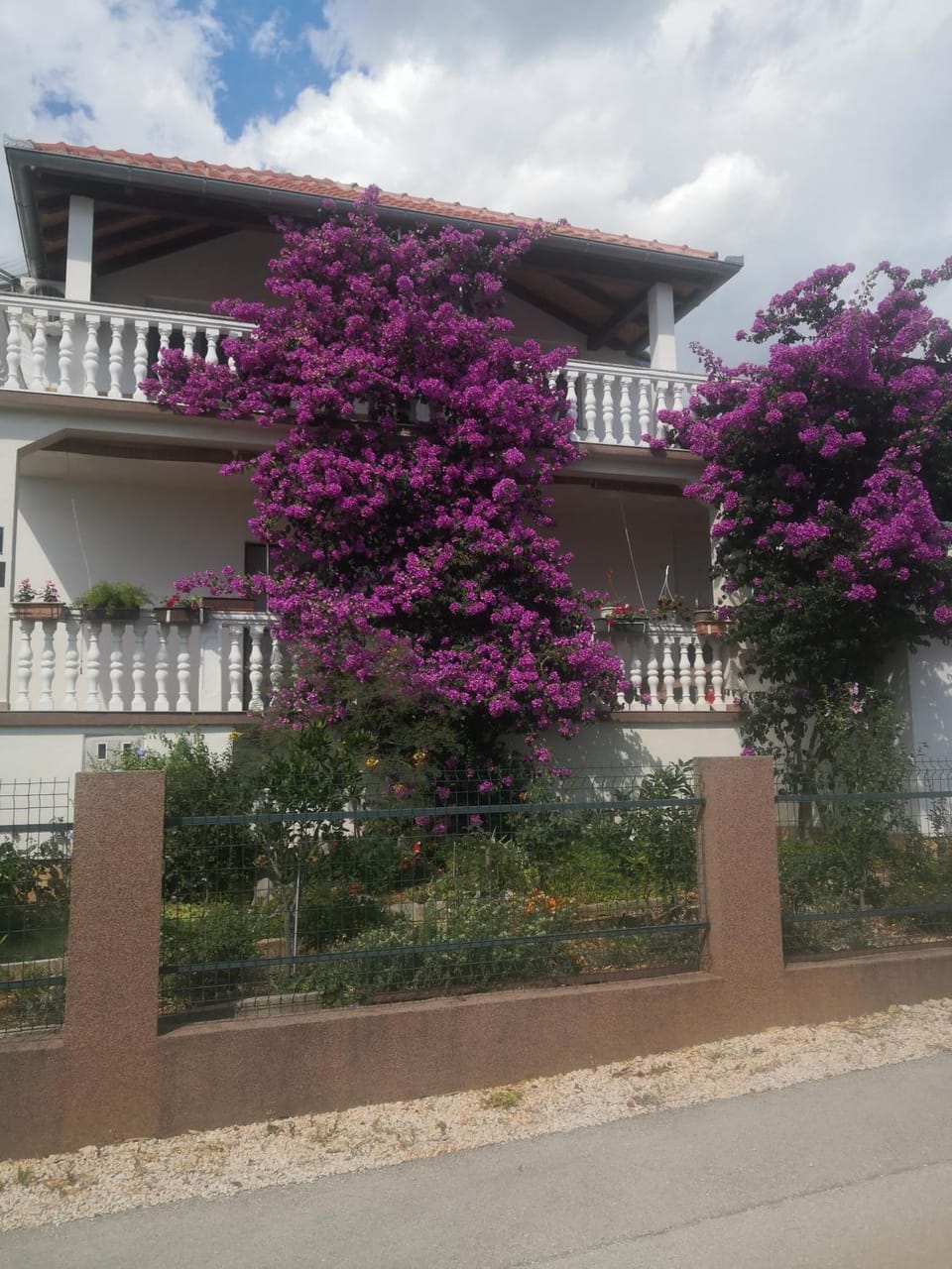 Property building, Spring, Day, Garden, Balcony/Terrace, Garden view