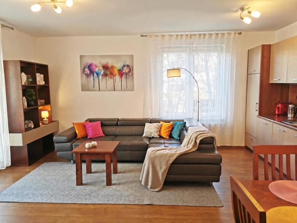 Amber Apartment in West Pomeranian Voivodeship, Poland