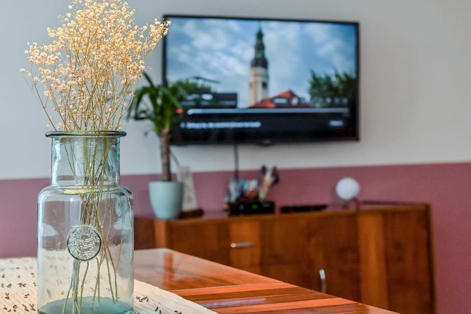 Frenchie w kamienicy Apartment in Poland