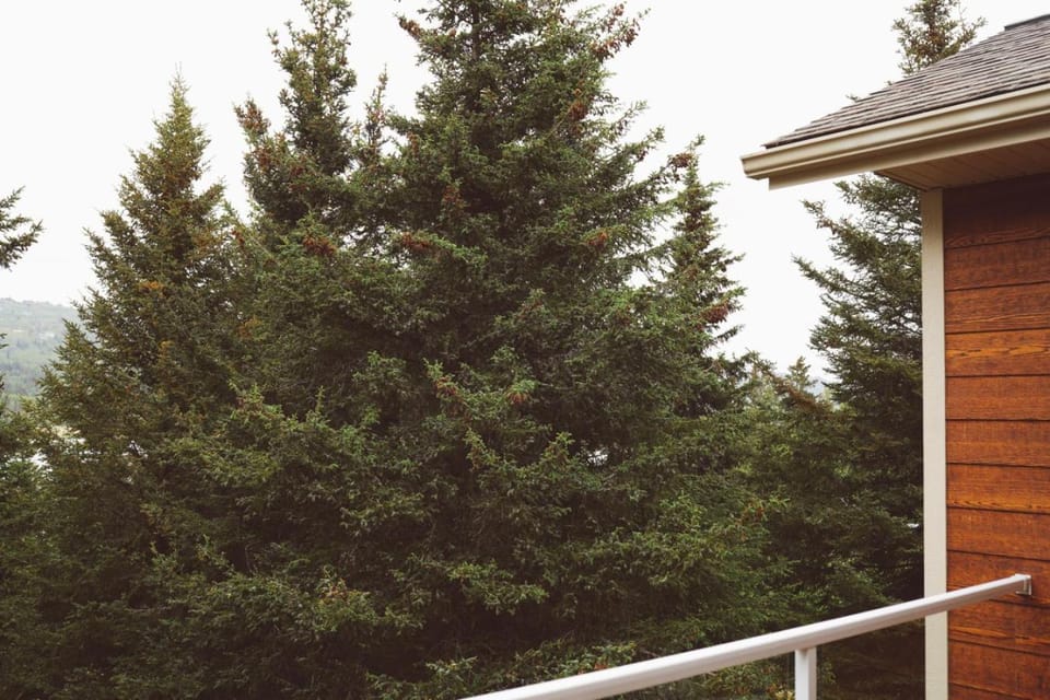 Natural landscape, View (from property/room)