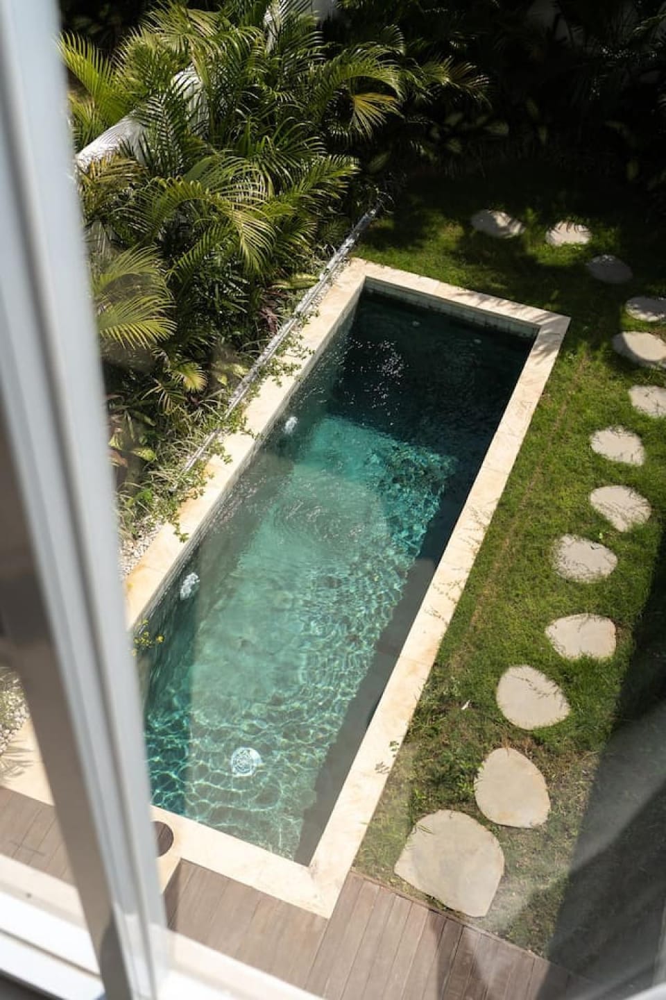 Garden, Pool view, Swimming pool