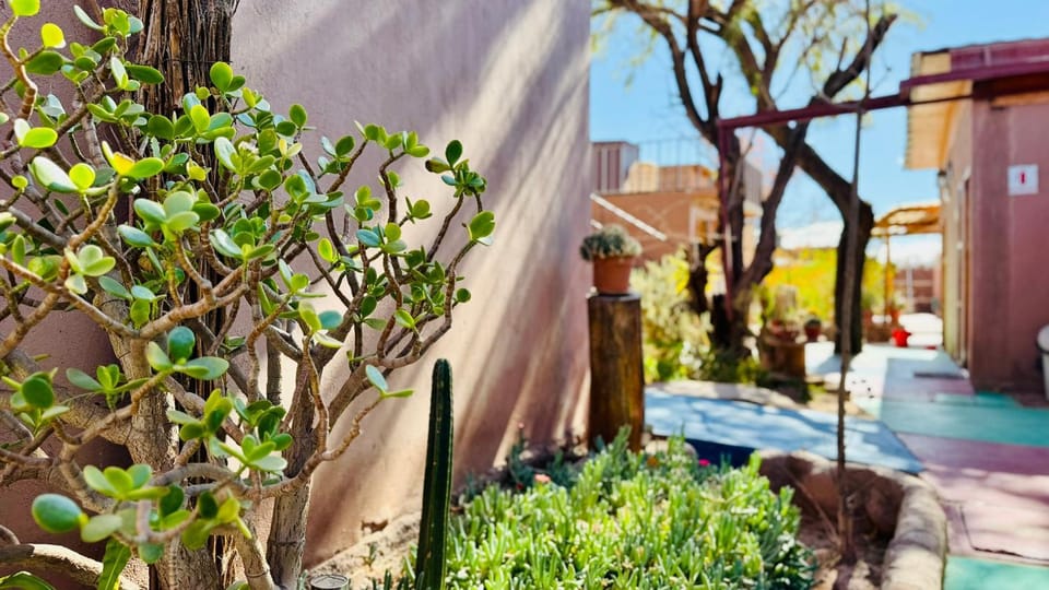 Garden, Garden view
