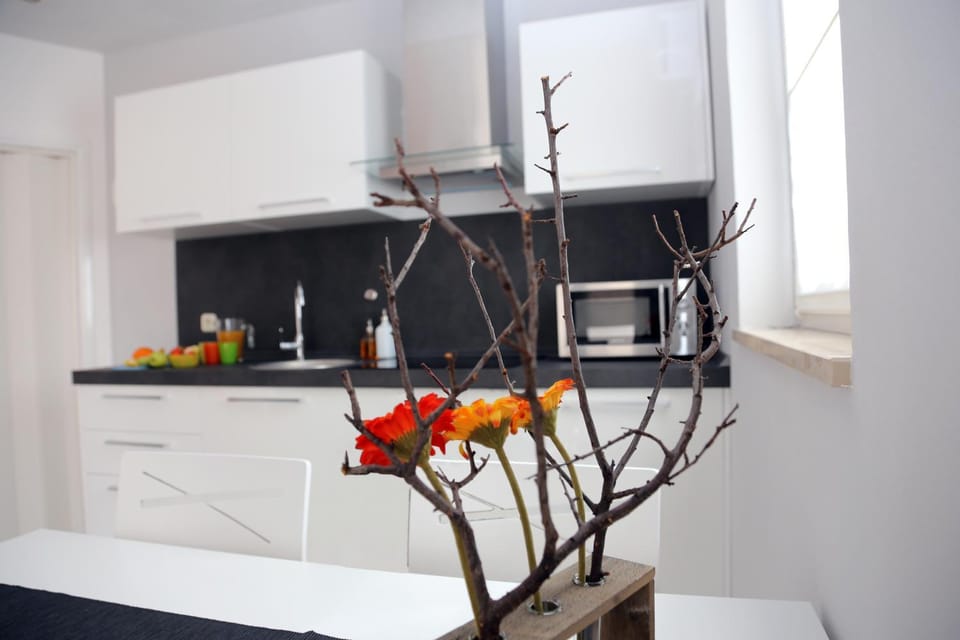 Kitchen or kitchenette, Dining area, Communal kitchen