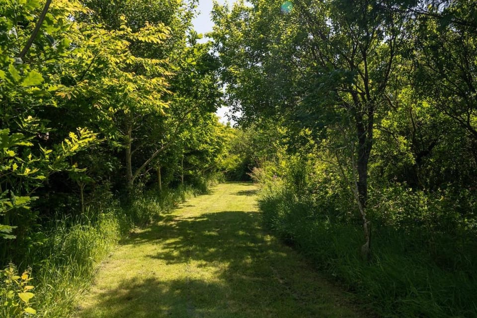 Natural landscape, Garden, Garden view