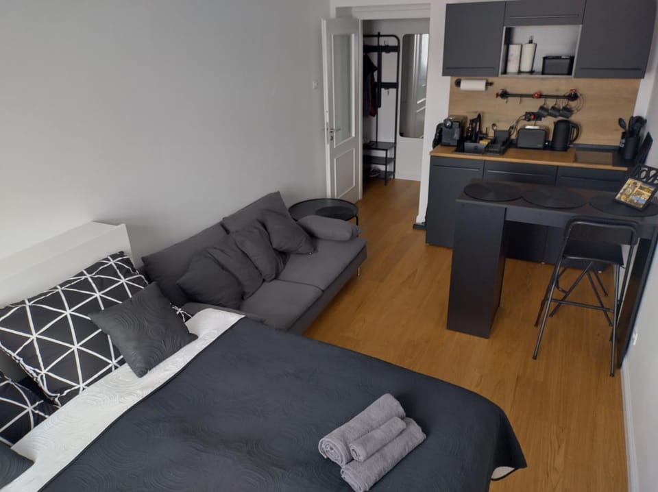 Комфортная, уютная,романтичная Apartment in Prague