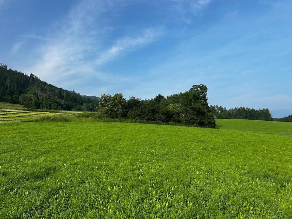 Natural landscape