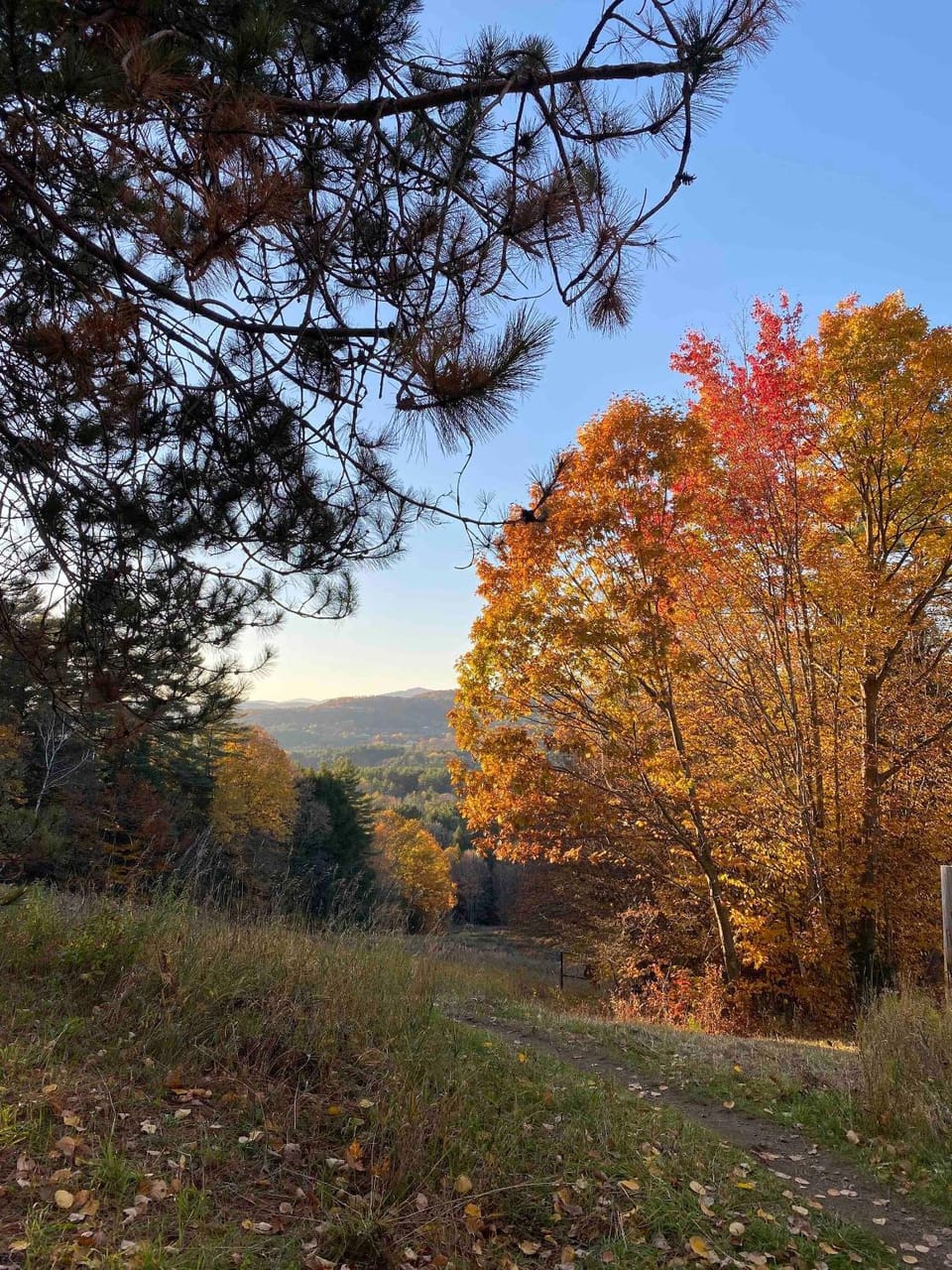 Natural landscape, Activities, Hiking