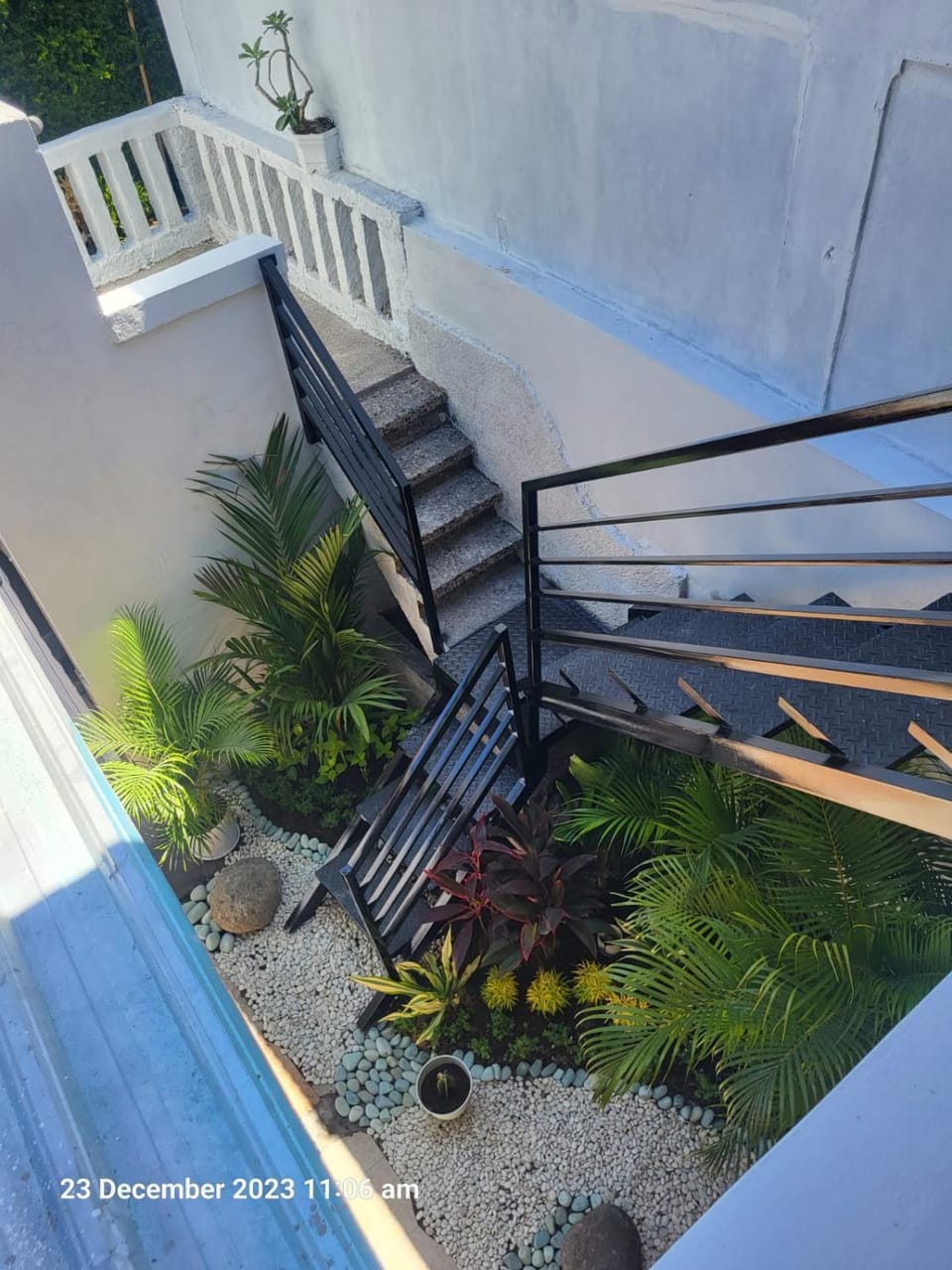 Garden view