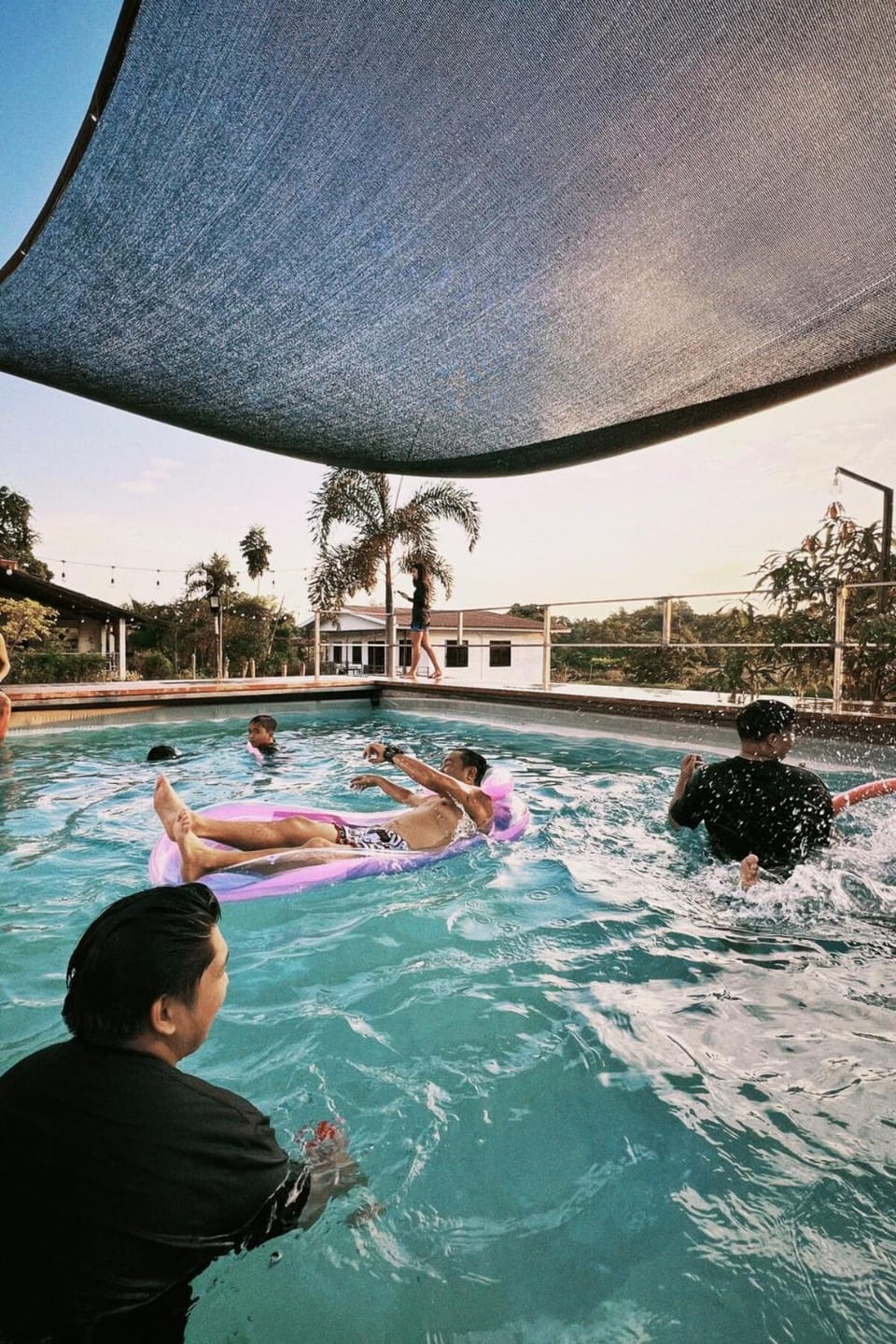 Pool view, Swimming pool, group of guests