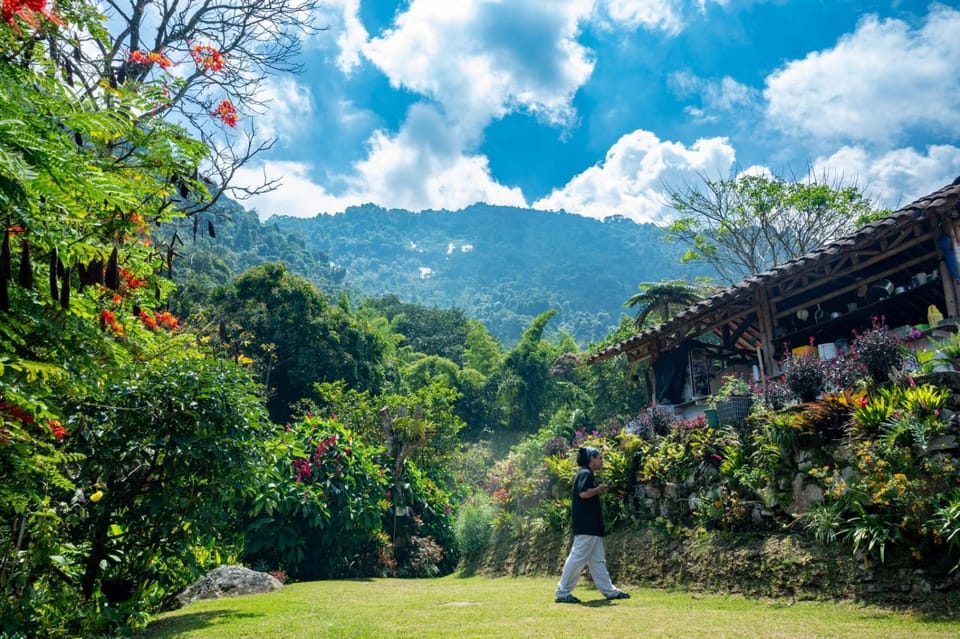 Natural landscape, Garden view, Mountain view