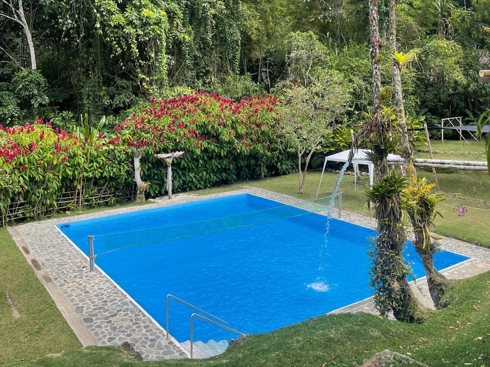 Natural landscape, Garden, Pool view