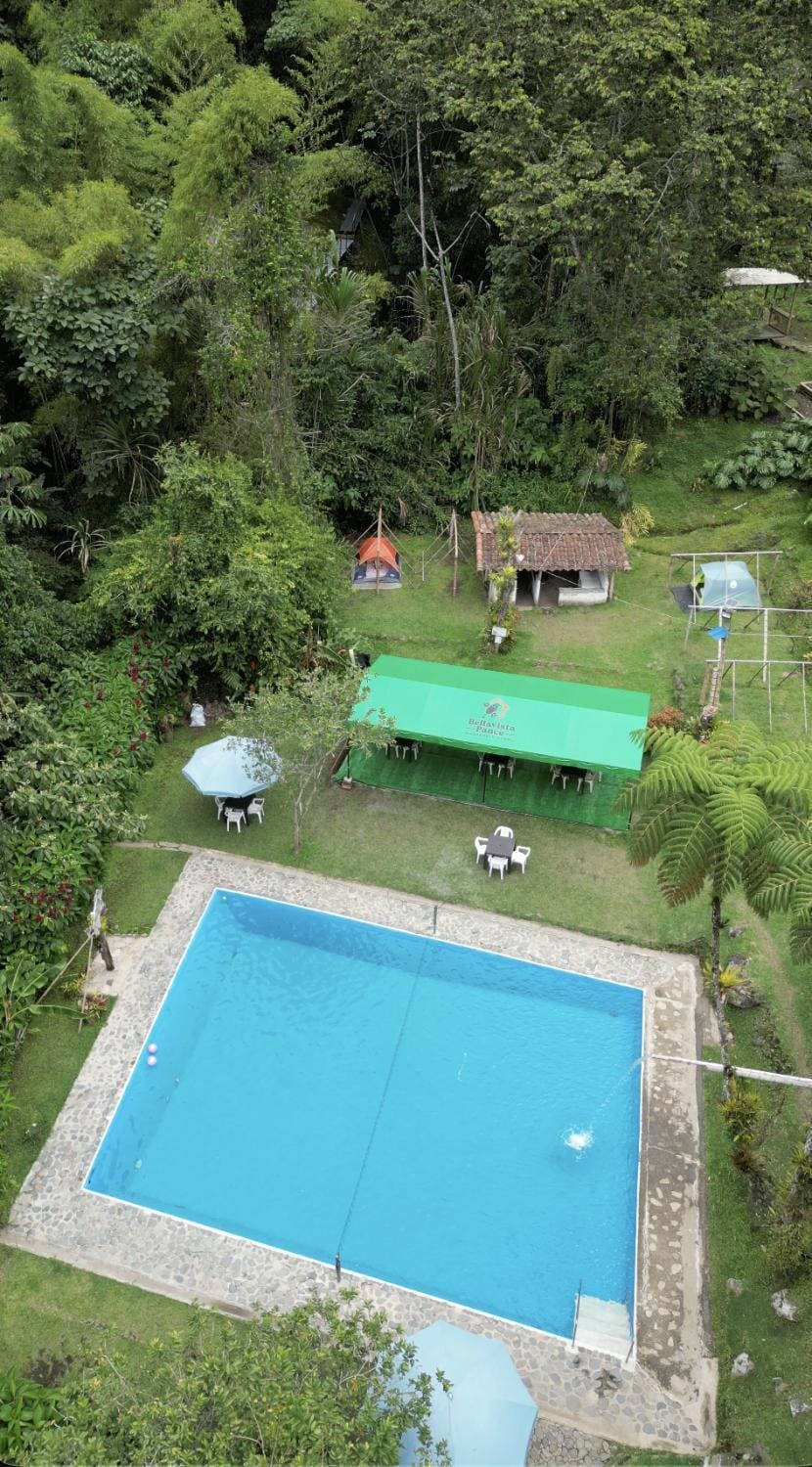 Pool view, Swimming pool