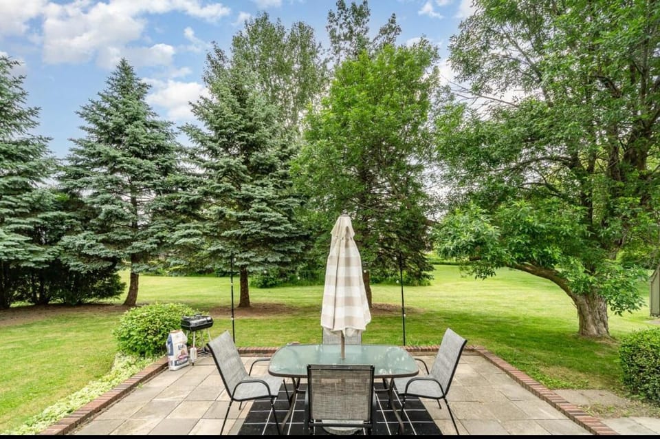 Natural landscape, Garden, Garden view, sunbed