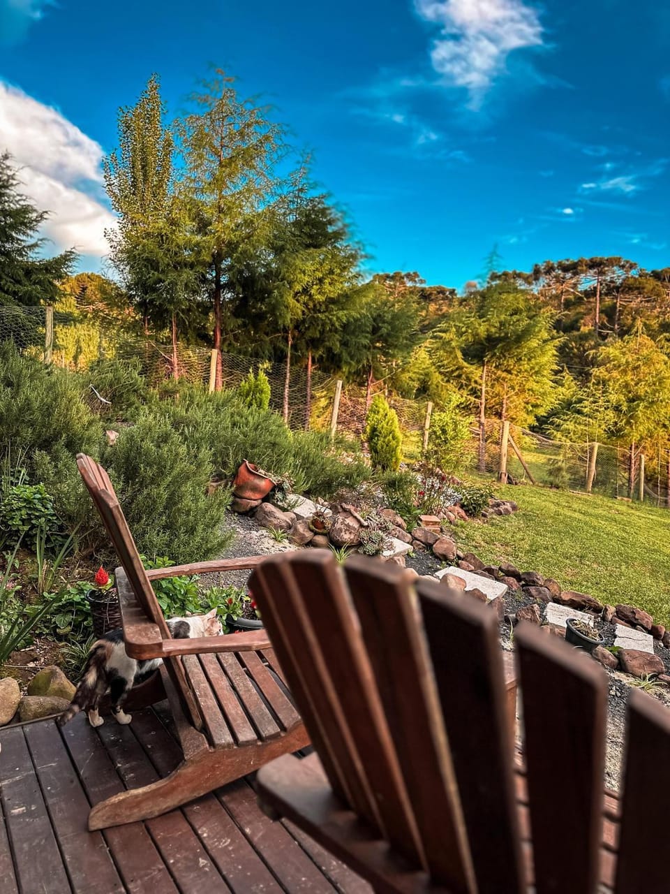 Cabana com Cachoeira House in State of Santa Catarina