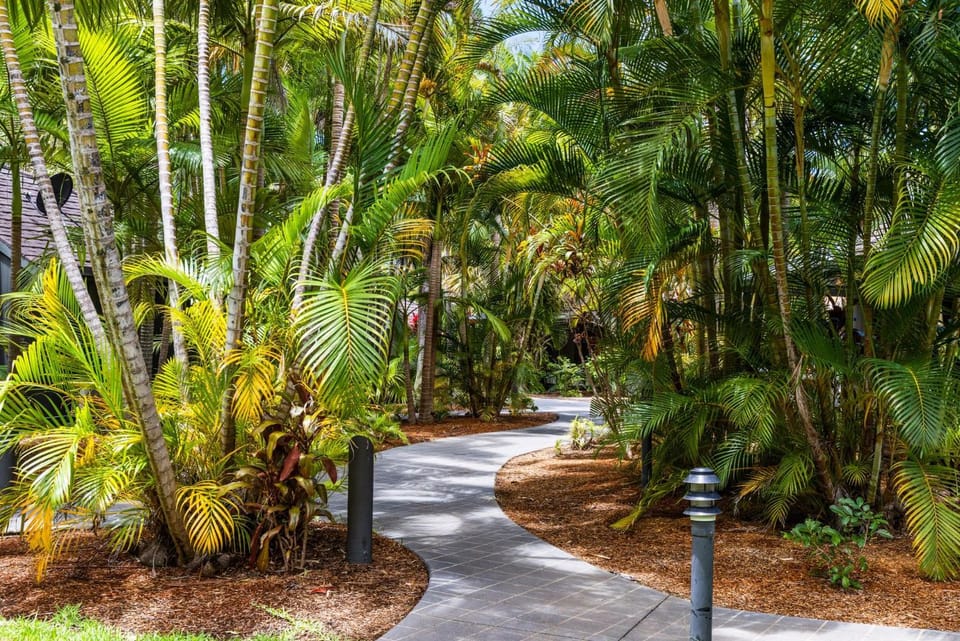 Tropical Bure 19 Apartment in Coffs Harbour