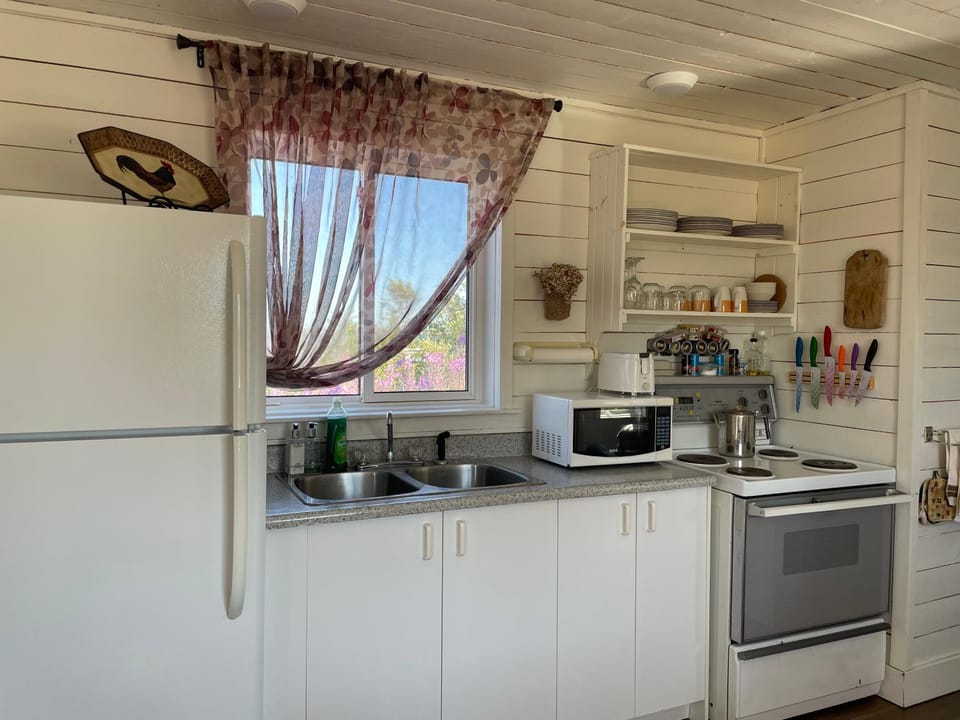 Kitchen or kitchenette, oven