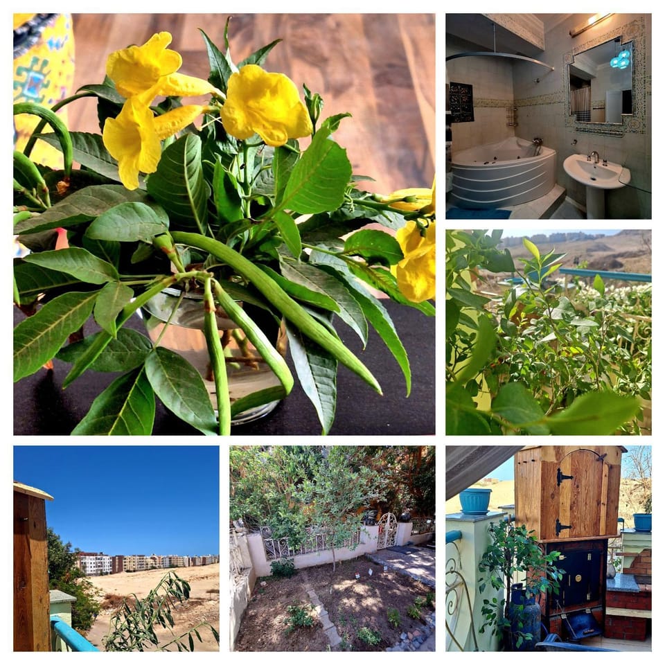 Orientalna Willa Bed and Breakfast in Hurghada