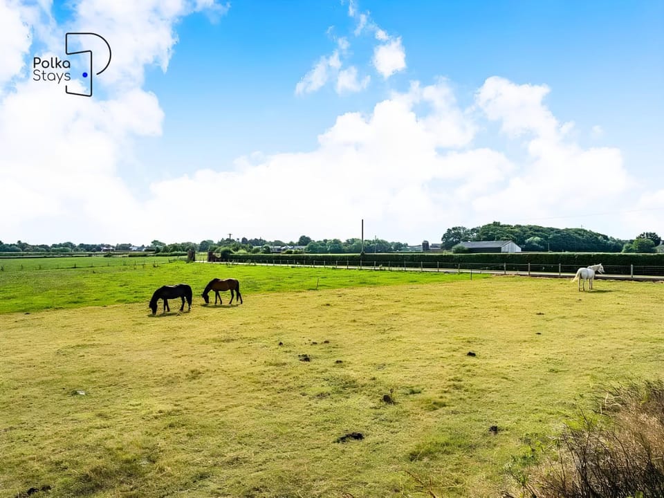 Natural landscape, Animals