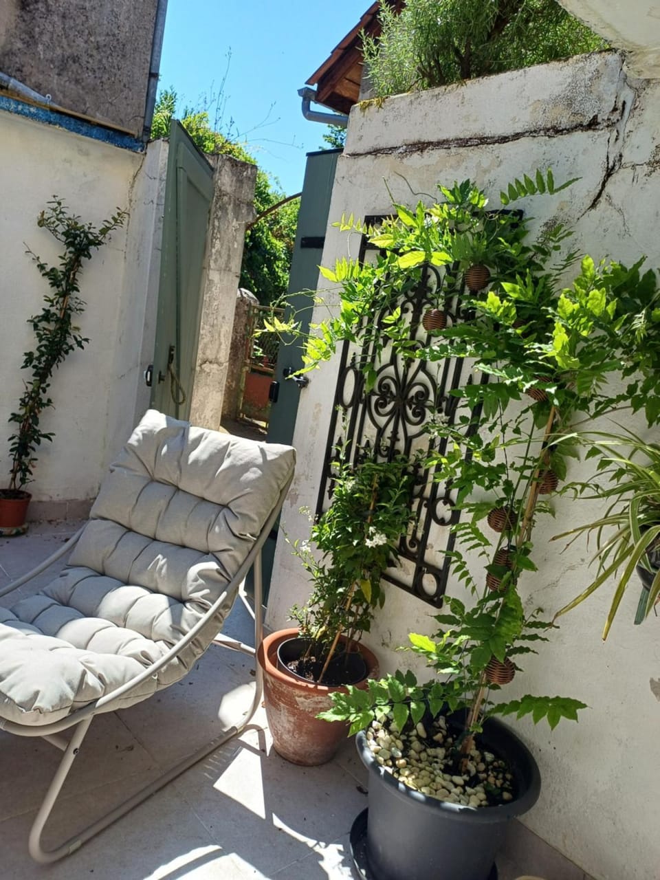 Patio, Garden, Balcony/Terrace
