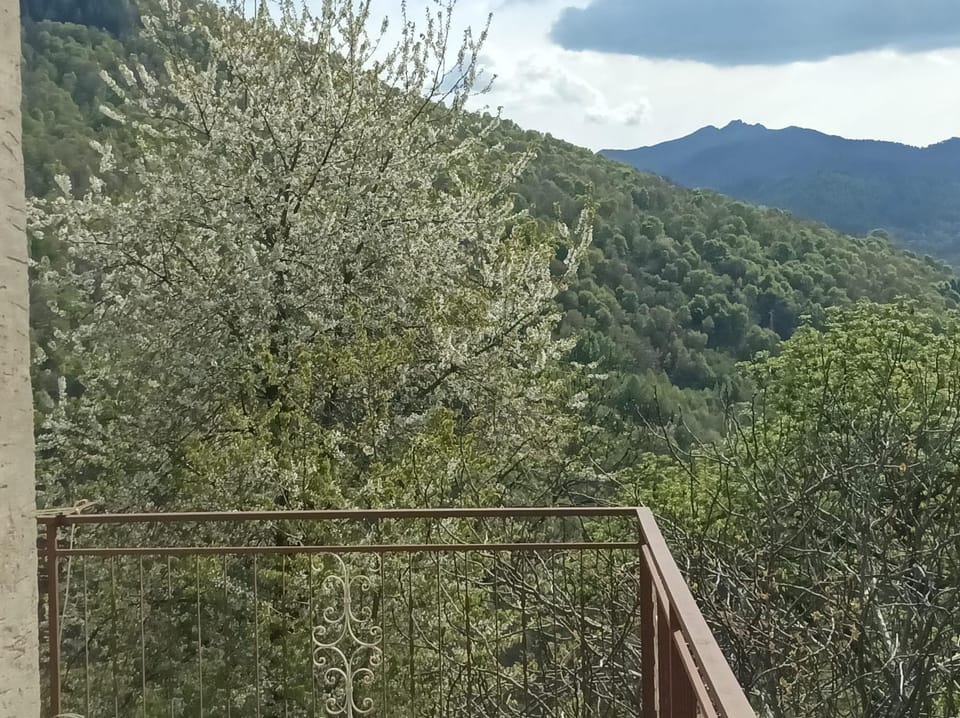 La casa tra i monti House in Canton of Ticino