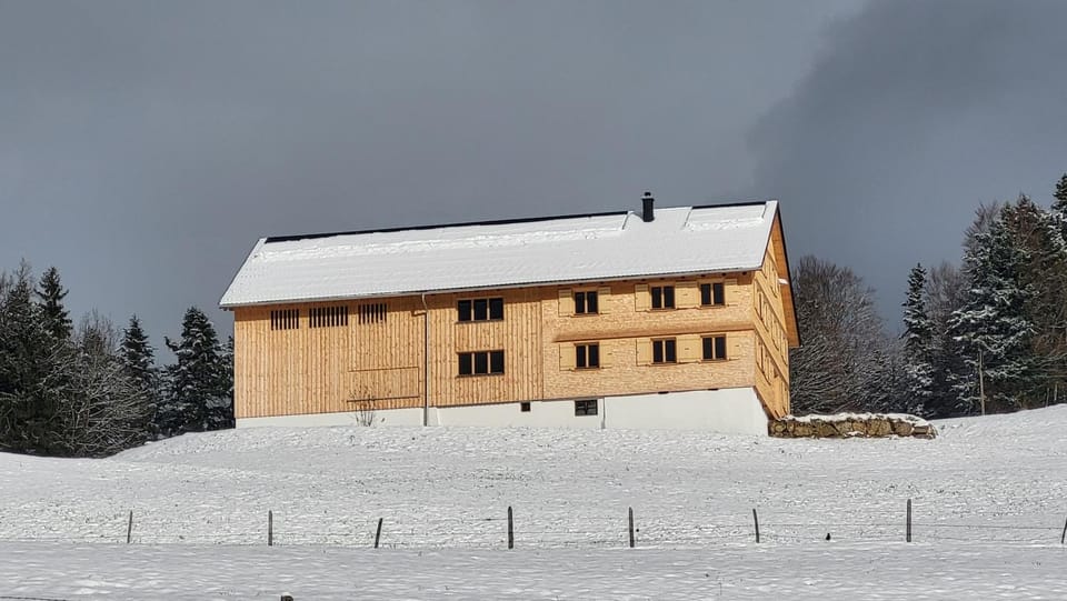Property building, Winter