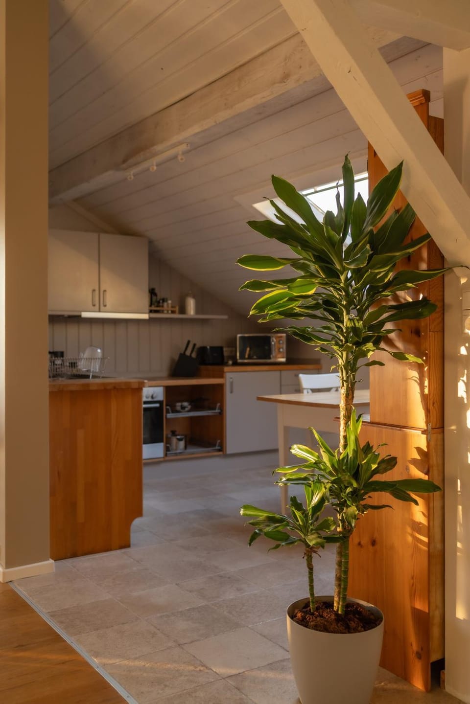 Property building, Kitchen or kitchenette, Living room