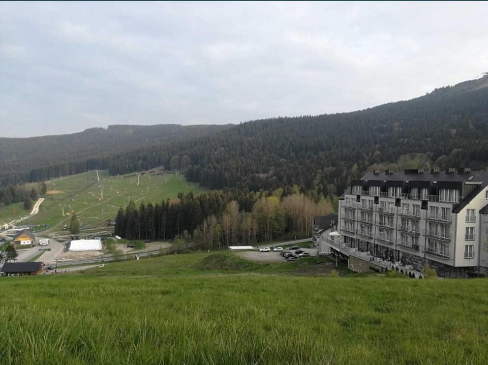 Nearby landmark, Spring, Natural landscape, Mountain view