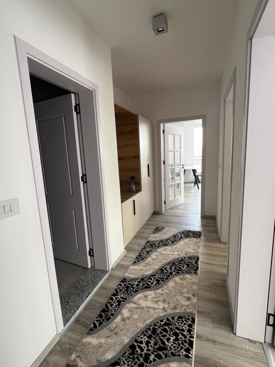 Bright and Comfy Apartment in Serbia