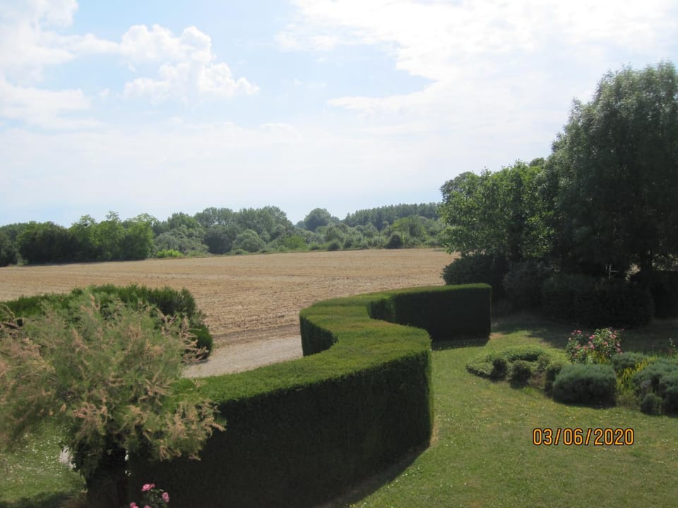 View (from property/room)