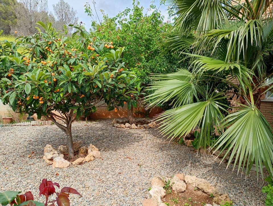 Garden, Garden view