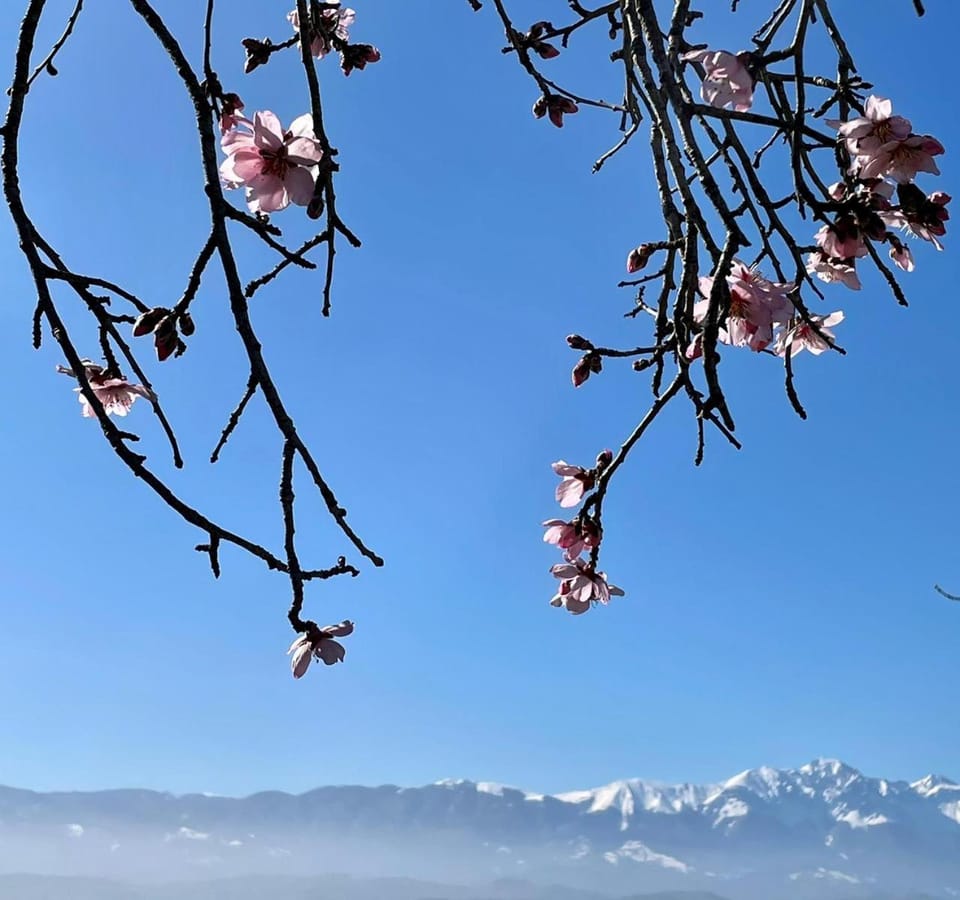Spring, Natural landscape