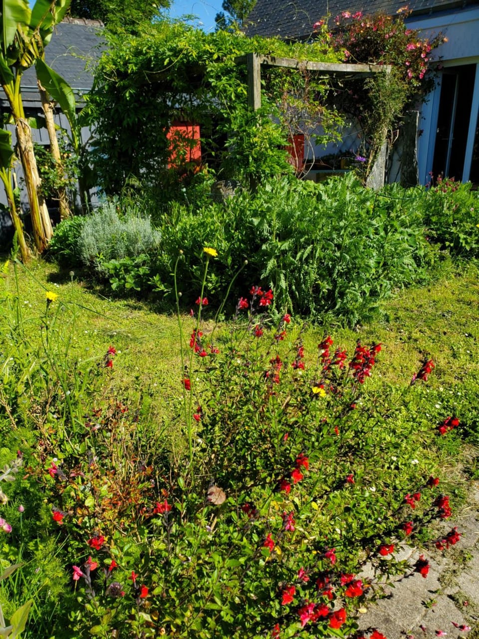 Garden view