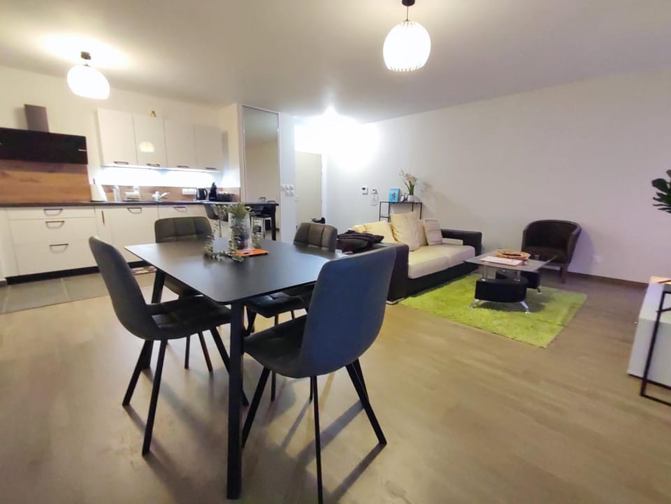 L'AuthentiCité, jardin et parking au centre-ville Apartment in Dijon