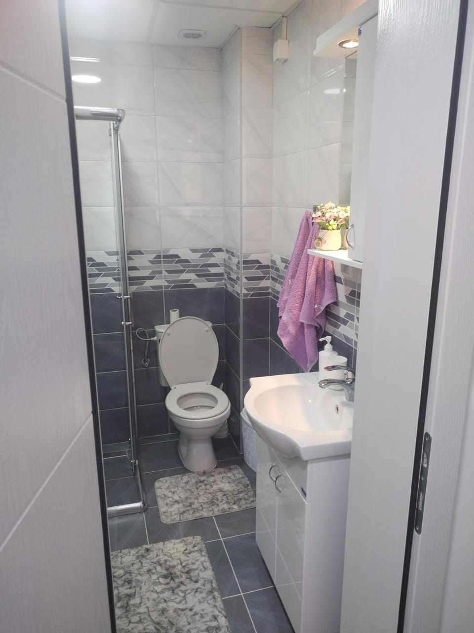 Banjski kutak Apartment in Serbia