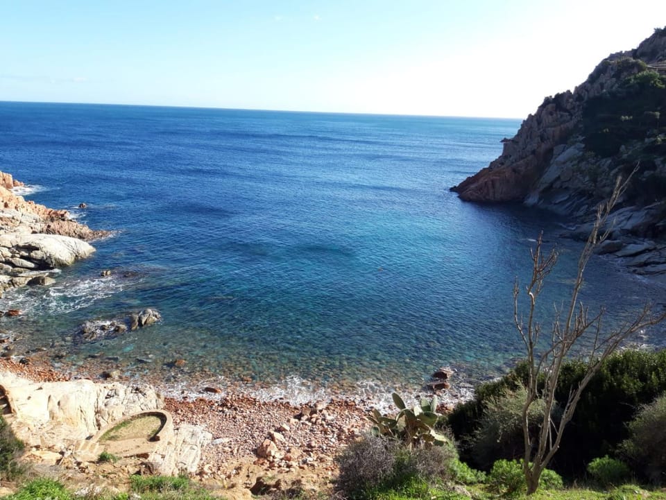 B&B Blueberry via Capri Porto Frailis Bed and Breakfast in Sardinia