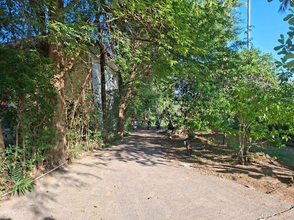 Property building, Other