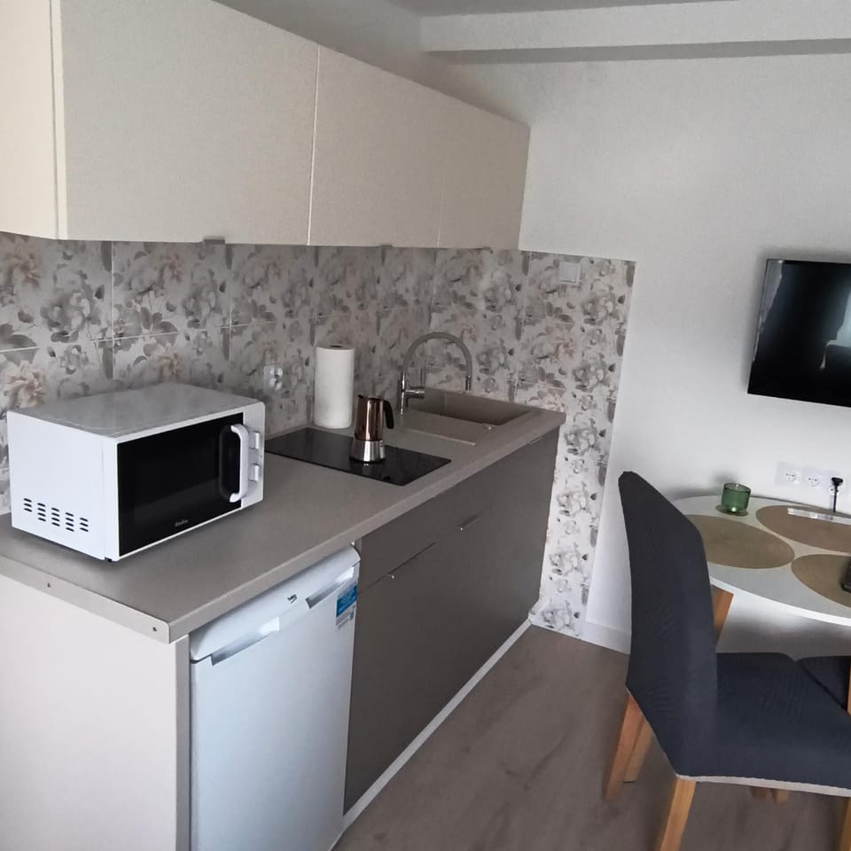 Apartament Palmowy Harnaś Apartment in Lesser Poland Voivodeship